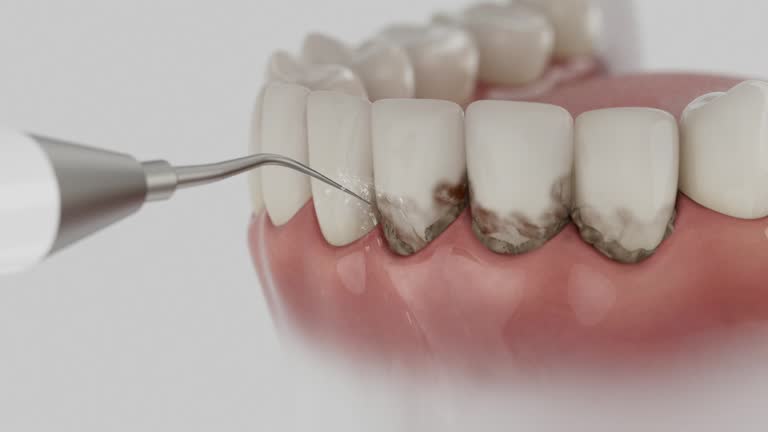 Reliable Dental contractor in Oak Grove Heights, AR by Dentist Open Now